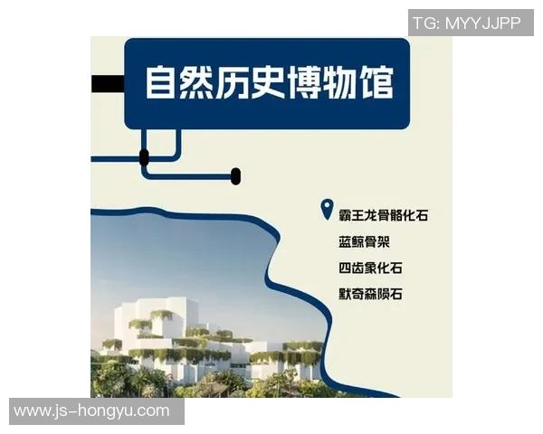 探索索博斯洛伊的历史与文化遗产揭示其独特魅力与价值 探索索博斯洛伊的历史与文化遗产揭示其独特魅力与价值