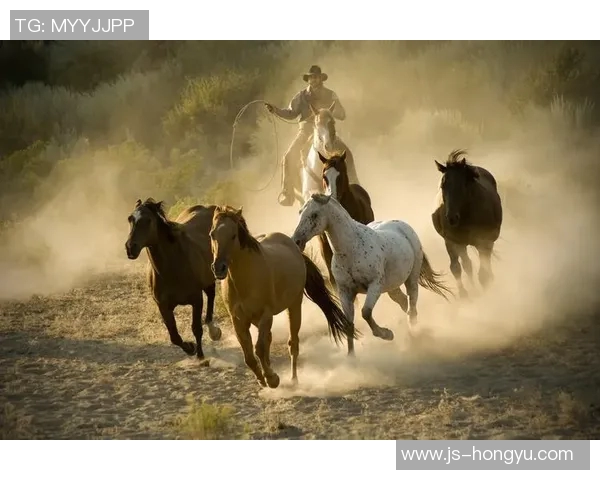 达尼洛：从绿茵场上的拼搏到生活中的坚持与梦想