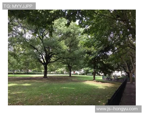 黄磊亲自分享攀岩技巧与心得体会助你轻松突破自我极限MBA