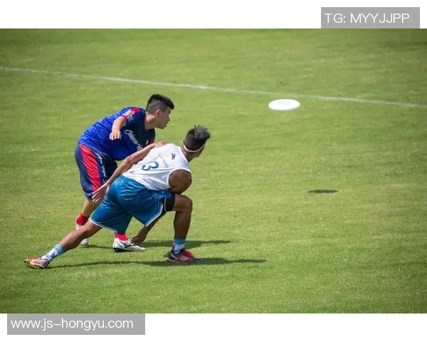 南京飞盘队夺冠最新团队协作排名前十强全解析