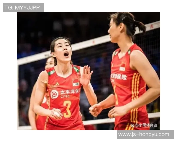 上海排球队实力解析：技术战术与团队协作的深度剖析